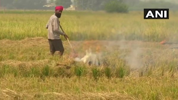 कोरोना की चेतावनी के बीच पराली जला रहे किसान