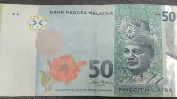 आईडी तक नहीं मिली आईडी तक नहीं मिली