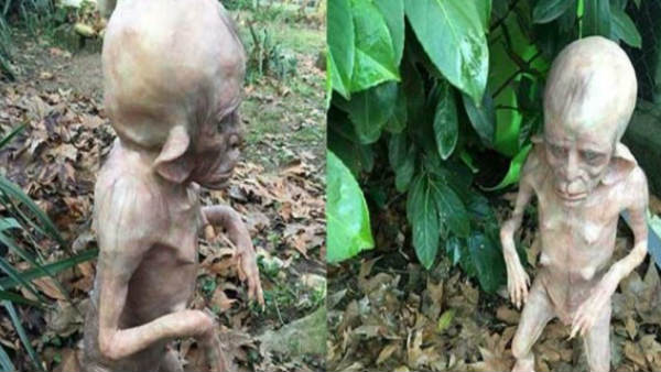 सच्चाई निकली कुछ और