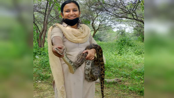 एनवक्त पर अंजू ने उस सांप की पहचान करना उचित समझा