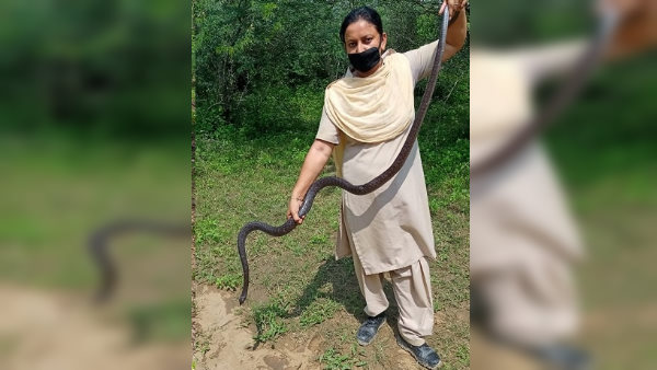 कौन हैं अंजू चौहान