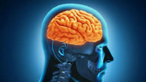  82 % कोरोना पीड़ित रोगियों ने न्यूरोलॉजिकल लक्षणों का अनुभव किया