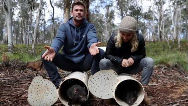 जंगल में आजादी से घूम सकेंगे डेविल्स