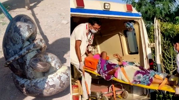 घर में अजगर ने पीछे से महिला को लपेटा घर में अजगर ने पीछे से महिला को लपेटा