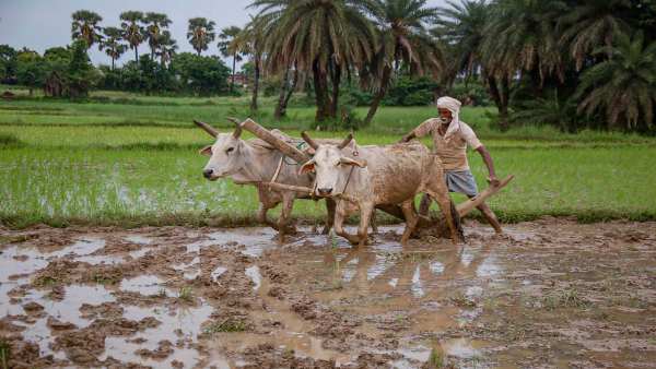मोदी सरकार के इस कदम से ग्रामीणों को बैंक ऋण लेने में मदद मिलेगी