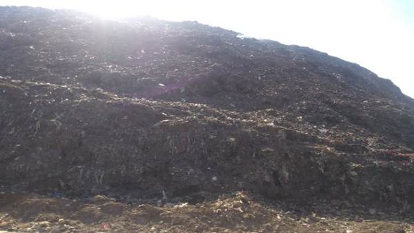 रोज फेंका जाता है 3500 टन कचरा