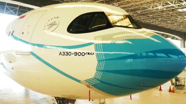 एयरबस पर मास्क की पेंटिंग करने में कुल 120 घंटे का समय लगा एयरबस पर मास्क की पेंटिंग करने में कुल 120 घंटे का समय लगा