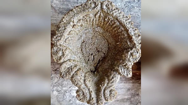 प्रशिक्षण व डाई उपलब्ध करवाई?