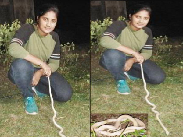 गुजरात में पहली बार दिखा