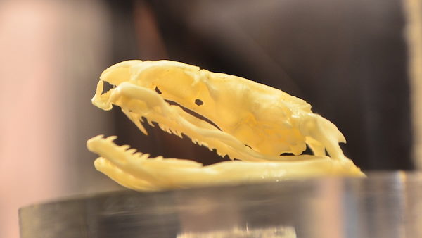 रात 10:45 बजे निकला मकान में