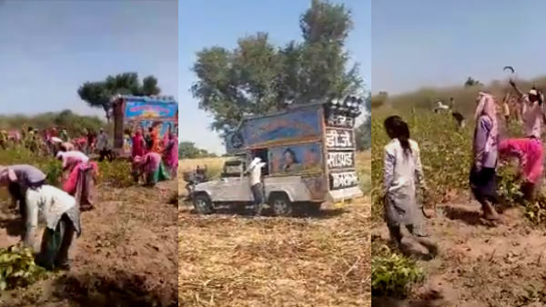 खेत खलियानों में पहुंच रहे डीजे खेत खलियानों में पहुंच रहे डीजे