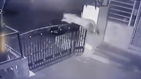 सोशल मीडिया पर वायरल हुआ वीडियो