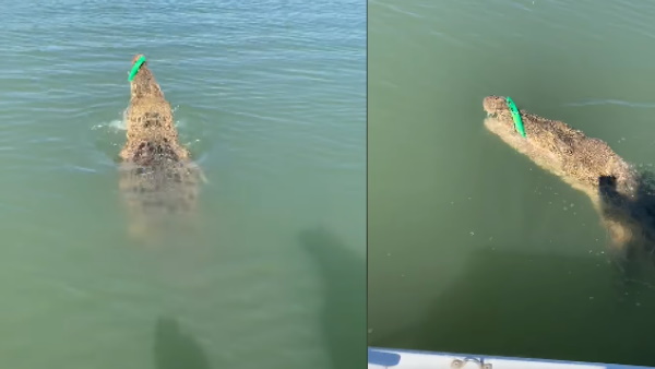 सोशल मीडिया पर वायरल हुआ शॉकिंग वीडियो