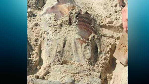 ऑस्ट्रेलिया में भी मिला था अजीब सा जीव