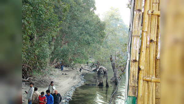 National Parks, Tiger Reserve , Wildlife and Bird Sanctuaries in uttar pradesh will open 1 Nov, 2020