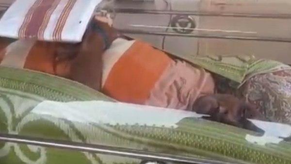 फ्रीजर एजेंसी के कर्मचारी ने सांस लेते देखकर निकाला बाहर 