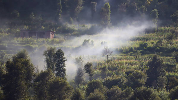 बुधवार रात से ही जारी है फायरिंग 