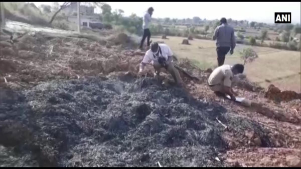 क्या है मंदिर पुजारी हत्याकांड करौली
