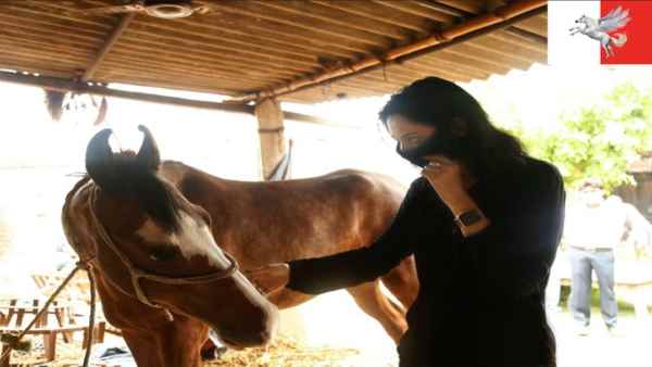 उम्मीदवारों की जाति है उनका 'पेशा'