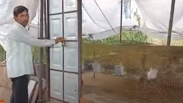  खरगोश पालन में लगती है कम मेहनत