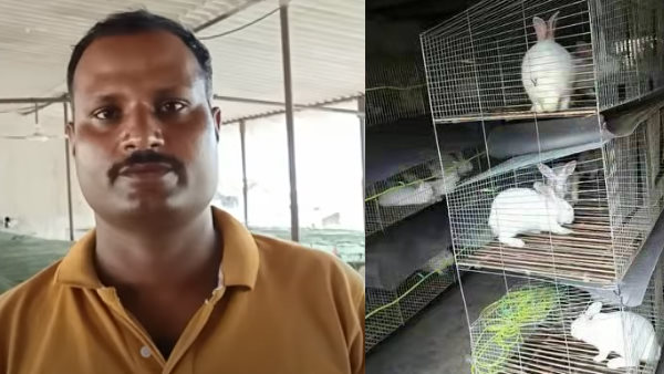 रैबिट फार्मिंग करने वाला का साक्षात्कार