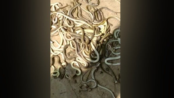 कुएं से आई किशोरी की आवाज