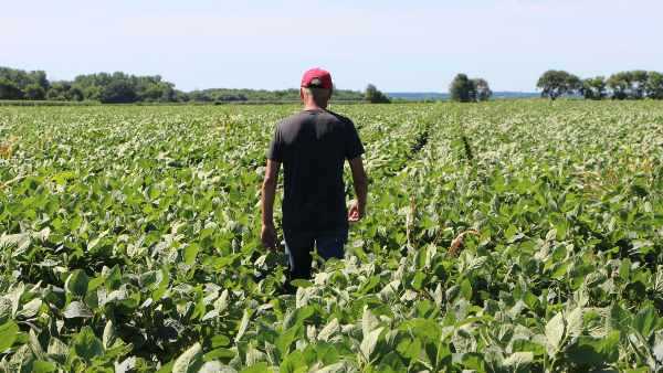 महामारी में मिली मदद ने किसानों की भावना को शिखर पर पहुंचा दिया 