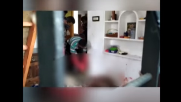 गांव में है जंगली सूअरों का आतंक