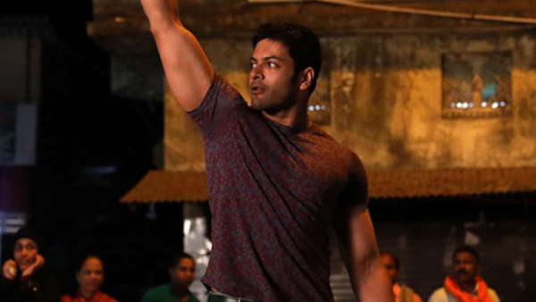 अली फजल की संपत्ति