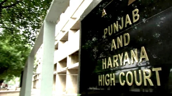 कोर्ट ने वकील के क्लाइंट को दी जमानत