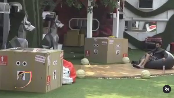 संचालक ने पूछा- कब तक बॉक्स में रहेंगी?