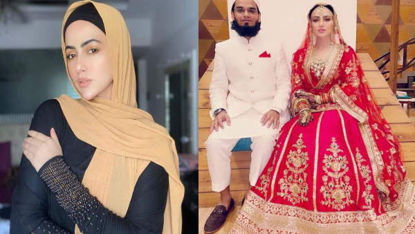 कई फिल्मों और सीरीज में आईं नजर कई फिल्मों और सीरीज में आईं नजर