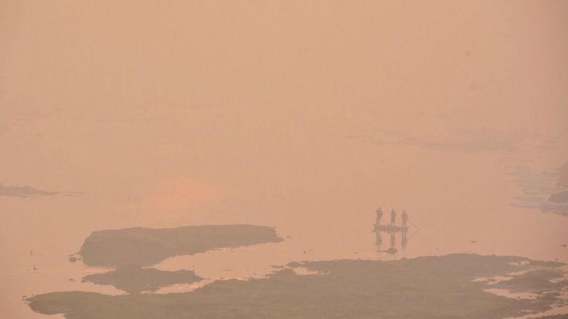 दिल्ली प्रदूषण: स्मॉग से बचाने में एयर प्यूरीफायर्स कितने कामयाब?