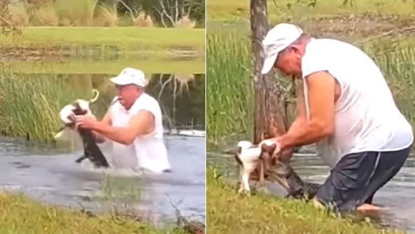 वीडियो हुआ वायरल