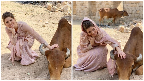 भारत में अमांडा कर्नी कब हुईं फेमस