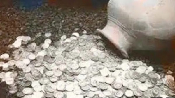 खेत में चल रहा था जुताई का काम