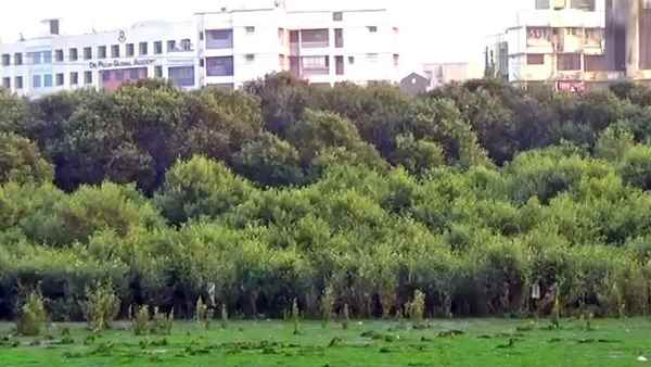 सबसे बड़ी बाधा जमीन अधिग्रहण का काम काफी हुआ