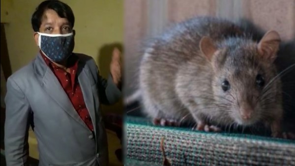 चूहा चल नहीं पा रहा था तो मदद के लिए पुलिस को किया कॉल