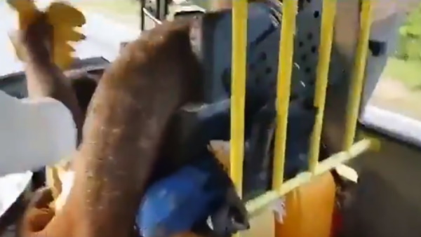 हाईवे पर दिनदहाड़े लूट