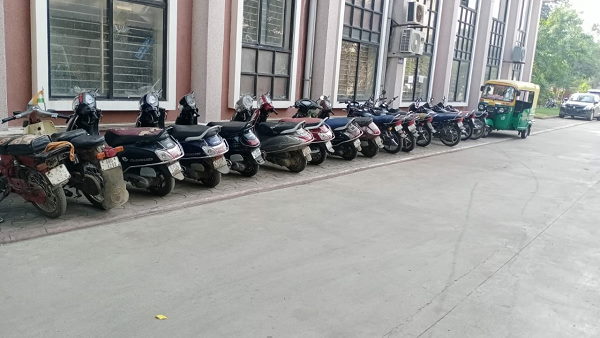 Video: gambling on cock fighting