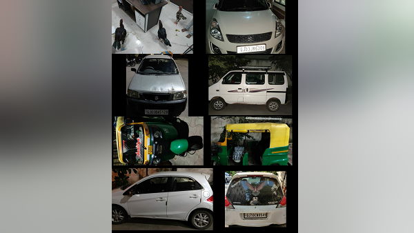 Video: gambling on cock fighting