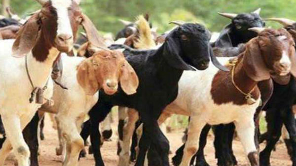 पिता की फिल्म में बेटे बने हीरो पिता की फिल्म में बेटे बने हीरो