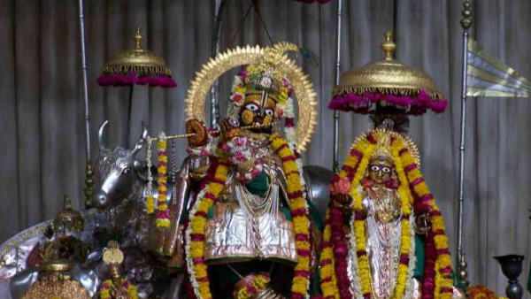 50 फीट की दूरी से कर सकेंगे दर्शन