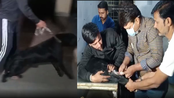  दोनों मालिक के अलग-अलग दावे