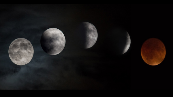 28 नवंबर 2020