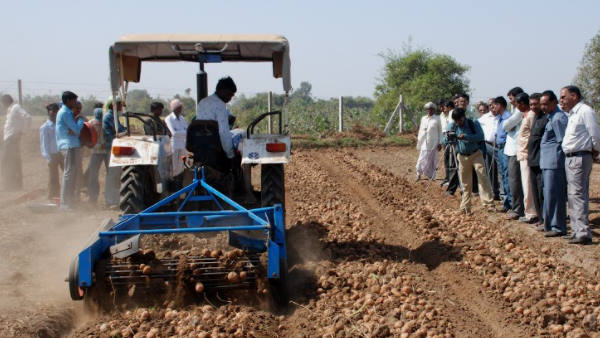  आठ नलकूप से सिंचाई, 16 परिवार कर रहे मजदूरी