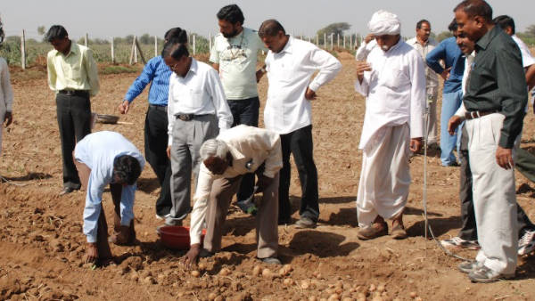  क्यों आया आलू की खेती का विचार?