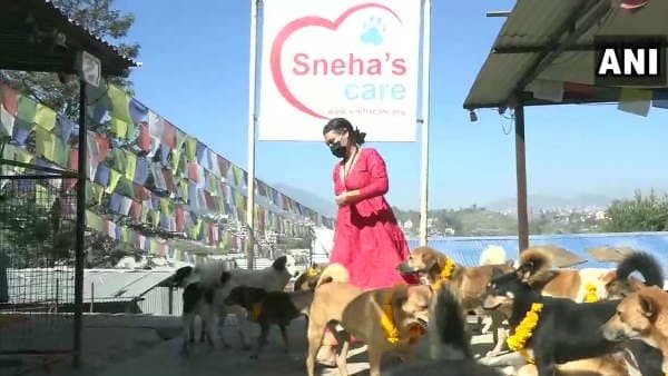 इसलिए की जाती है कुत्‍ते की पूजा 