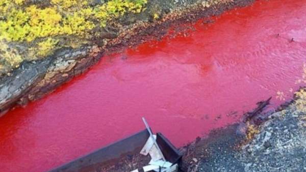 पर्यावरण अधिकारियों ने क्या कहा?