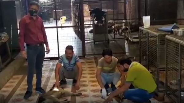 1 साल पहले ट्रेन की चपेट में आई थी 1 साल पहले ट्रेन की चपेट में आई थी